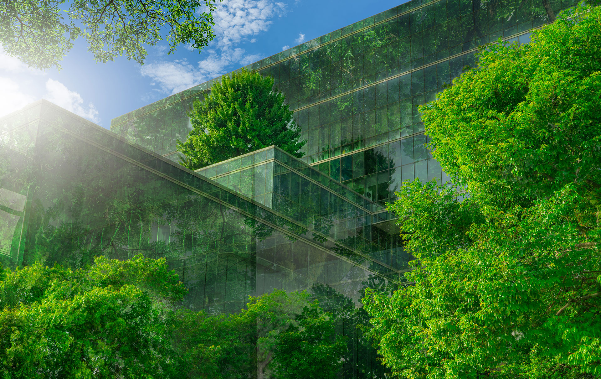 Focused on Sustainability